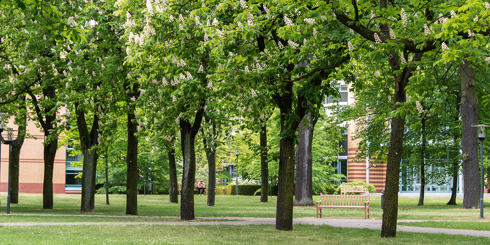 Ansicht Parkanlage ukb